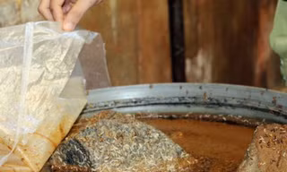 Cơ sở sản xuất mắm có dòi bị phạt 13 triệu đồng. Ảnh: Dân trí