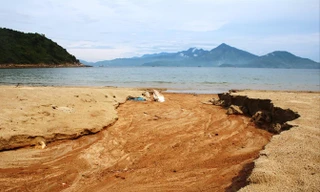 Bùn, đất từ 40 nền móng biệt thự không phép “cày xới” Sơn Trà chảy xuống biển Tiên Sa nguy cơ nơi đây sẽ thành bãi bùn.