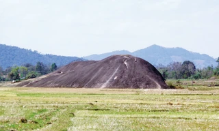 Đá Voi Mẹ nổi trên cánh đồng.