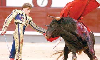 Một cảnh đấu bò tót ở Tây Ban Nha. Ảnh: AP.