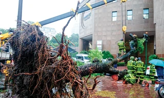 Thiết bị Trung Quốc ảnh hưởng tới dự báo bão?