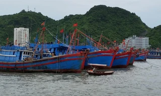 Ðánh bắt bất hợp pháp ở nước ngoài, tàu cá có thể bị tịch thu. Ảnh: Bình Phương.