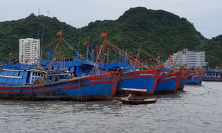 Ðánh bắt bất hợp pháp ở nước ngoài, tàu cá có thể bị tịch thu. Ảnh: Bình Phương.