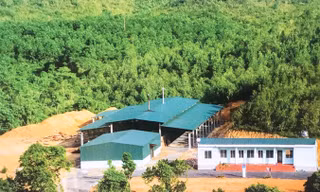 Nhà máy của Huy đặt ở nơi heo hút, để bớt vất vả cho người dân.