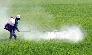 Tái kết luận glyphosate trong thuốc diệt cỏ không gây ung thư