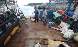 Vụ tàu cá vỏ thép kém chất lượng: Sẽ kết luận trách nhiệm đăng kiểm
