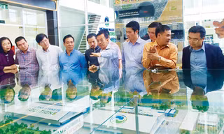 David Dương chia sẻ với các doanh nhân trẻ trong buổi gặp mặt mới đây.
