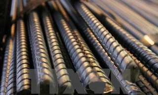 Ảnh minh họa. Nguồn Vietnam+