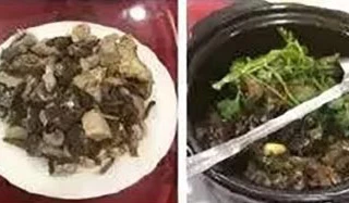 Lãnh đạo doanh nghiệp bị sa thải vì ăn động vật quý hiếm