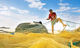 Lão ngư Võ Quyết kiểm tra lưới cụ chuẩn bị một ngày “hái lộc biển” mới. Ảnh H.T.