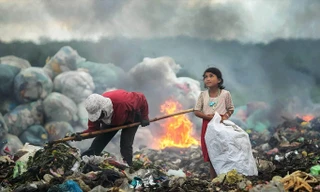 Bức ảnh đoạt giải Nhất cuộc thi ảnh quốc tế về môi trường.