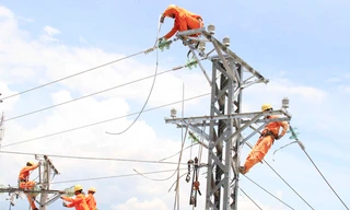 Ảnh minh họa: Internet