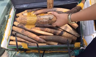 Ảnh minh họa. Nguồn Internet