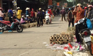 Lo ngại cúm, tình hình buôn bán, tiêu thụ gà, vịt sống kém sôi động trên thị trường Lạng Sơn. Ảnh: Duy Chiến.