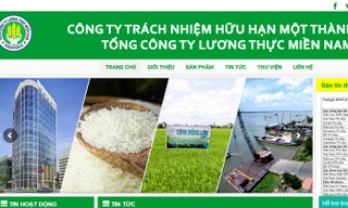 Website của Vinafood 2.