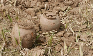 Vỏ sành còn rất nguyên vẹn.