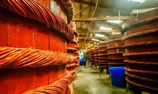 Vinastas nhận sai về kết quả khảo sát nước mắm