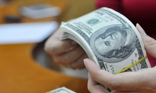 Doanh nghiệp sẽ được vay ngoại tệ đến hết năm 2018