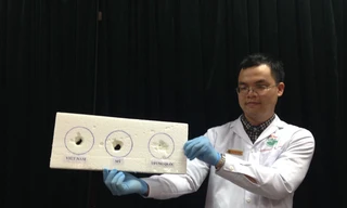 Kết quả thực nghiệm 3 loại dầu cá của Việt Nam, Mỹ và Trung Quốc cho thấy hiện tượng dầu cá ăn mòn xốp. Ảnh: Người lao động