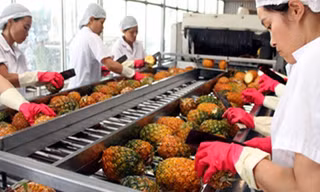 9 tháng xuất khẩu rau quả đạt 2,64 tỷ USD