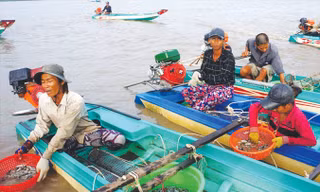 Nỗi ám ảnh mang tên… sạt lở: Gia đình ly tán