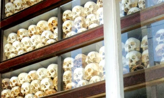 Sống sót đã là kỳ tích