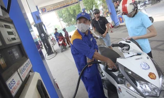 Ảnh: Hồng Vĩnh.