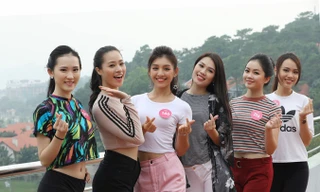 Các thí sinh tham gia chung kết toàn quốc HHVN háo hức trước phần thi Người đẹp Thể thao diễn ra trên đảo Tuần Châu. Ảnh: Hồng Vĩnh