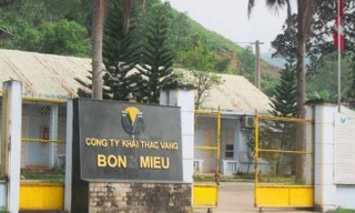 Khẩn trương đóng cửa mỏ vàng Bồng Miêu