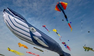 Đảm bảo an toàn liên hoan diều quốc tế lần thứ 6