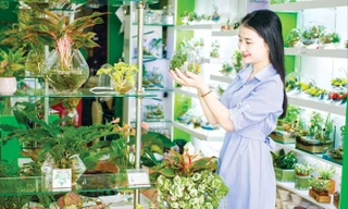 Giới trẻ thích thú với thú chơi mới.