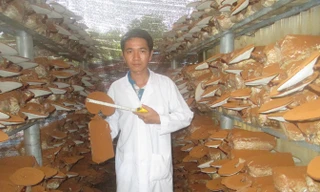 Anh Nguyễn Chí Thành tại trại nấm của mình. Ảnh: NVCC.