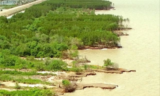 Hiện trạng sạt lở ven biển Cà Mau.