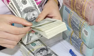 Ảnh minh họa: Internet