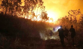 Hiện trường tan hoang sau vụ cháy 30ha rừng ở Tam Đảo, Vĩnh Phúc 