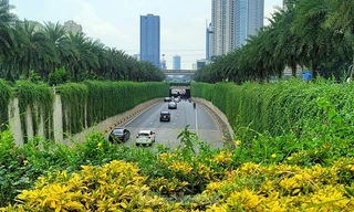 Xu hướng phát triển của bất động sản xanh tại Việt Nam