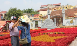 Du khách 3 nước vừa được miễn thị thực nhập cảnh Việt Nam