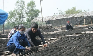 Khát vọng làm giàu của những ông chủ trẻ