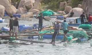Khánh Hòa yêu cầu ứng cứu hai người dân mắc kẹt trên biển trước giờ bão số 6 đổ bộ