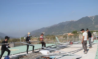 Xây dựng trái phép, 45 ngôi nhà ở Nha Trang bị giải tỏa