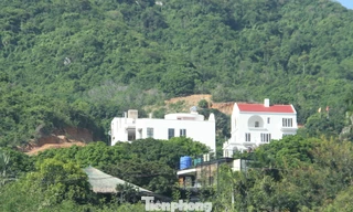 Nha Trang dừng thi công khu biệt thự trên núi Cô Tiên