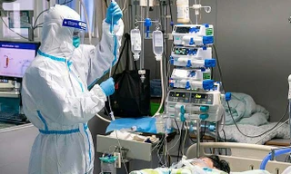 Phát hiện lỗi trong nghiên cứu về nCoV?