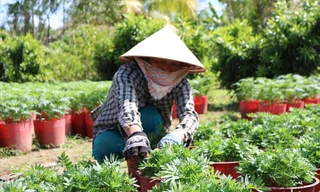 Bà Nguyễn Hoàng Yến đang chăm sóc hoa ẢNH: KIM HÀ