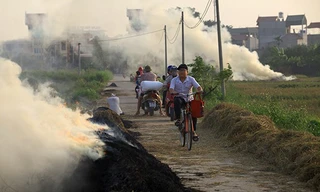  Ðưa chỉ tiêu không đốt rơm vào tiêu chí nông thôn mới