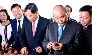 Thủ tướng Nguyễn Xuân Phúc, Bộ trưởng NN&PTNT Nguyễn Xuân Cường cùng các đại biểu tham quan xưởng chế biến rau quả xuất khẩu của Doveco ngày 11/2. Ảnh: Bình Phương 