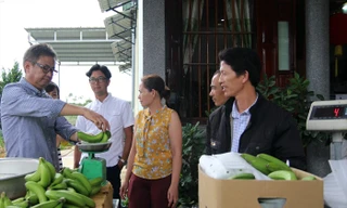 Chuyên gia Nhật hướng dẫn nông dân ở xã Ðạ K’Nàng (Ðam Rông, Lâm Ðồng) sơ chế chuối​. Ảnh: Kim Anh