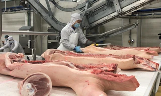 Nhiều doanh nghiệp đã có kế hoạch nhập thịt lợn để bù đắp thiếu hụt. Ảnh: Bình Phương 