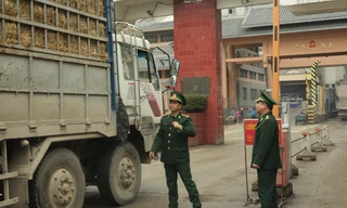 Nông sản Việt Nam xuất sang Trung Quốc bị tắc ở Lạng Sơn mấy ngày qua. Ảnh: Duy Chiến ​