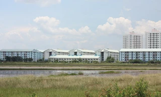 TP.HCM: Lạc quan phân khúc đất nền, căn hộ bình dân