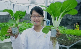 Vũ Thanh Quỳnh mong muốn được ra Trường Sa trồng rau xanh cho lính đảo